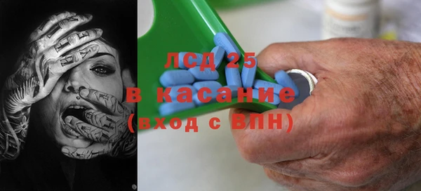 прущие грибы Карталы