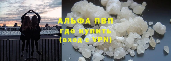 дурь Карпинск