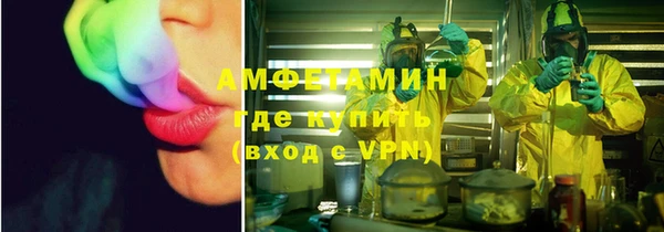 прущие грибы Карталы