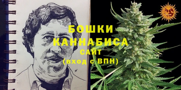 дурь Карпинск