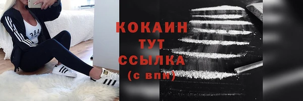 прущие грибы Карталы