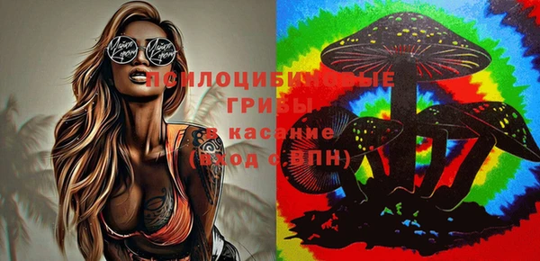 прущие грибы Карталы