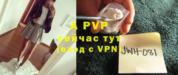 дурь Карпинск