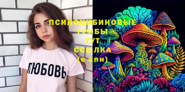 прущие грибы Карталы