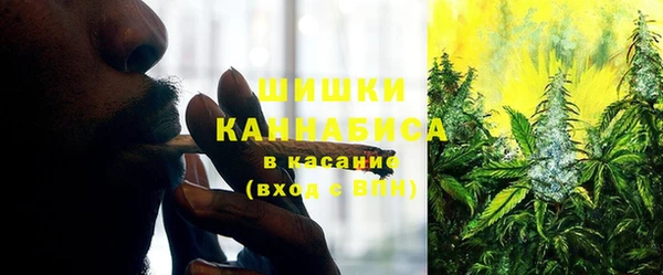 прущие грибы Карталы
