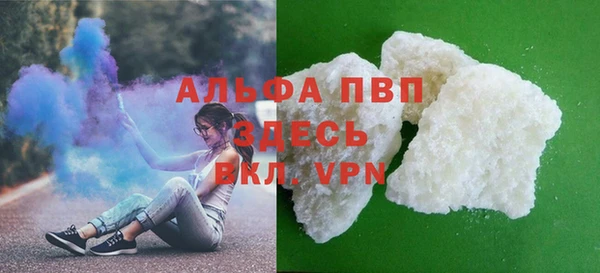 прущие грибы Карталы