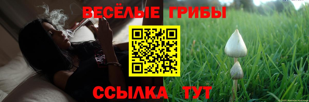Ноябрьск  что такое наркотик  Вход с VPN  Псилоцибиновые грибы прущие грибы 